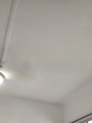 Jalan Besar Plaza (D8), Apartment #560982691